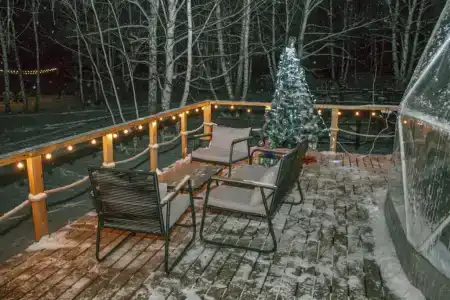 Holidays Forest - 3