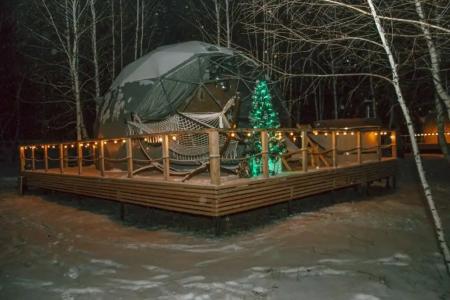 Holidays Forest - 1