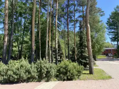 Сибирь Хаус - 8