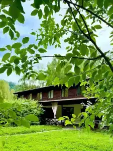 Базаиха River - 1