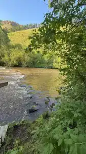 Базаиха River - 5