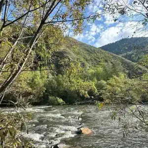 Базаиха River - 14