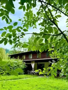 Базаиха River - 15