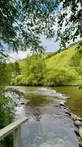 Базаиха River - 19