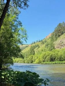 Базаиха River - 21