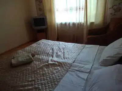 Сандро - 141