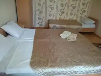 Сандро - 142