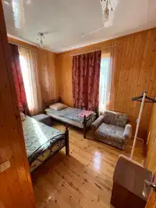 Камелия - 19
