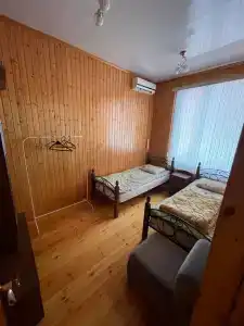 Камелия - 18