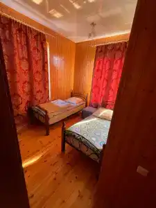 Камелия - 21