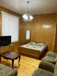 Камелия - 53