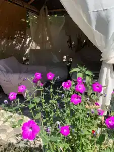 Сандро - 205