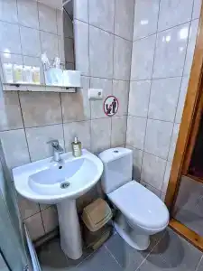 Фея - 42