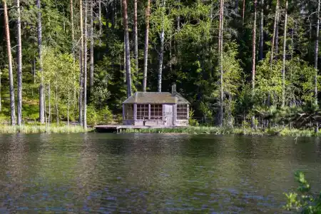 Шишки на Лампушке - 5
