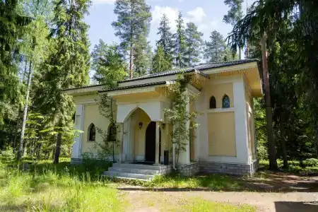 Шишки на Лампушке - 4