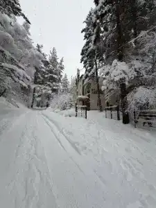 Куанч - 8