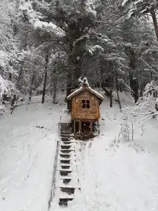 Куанч - 9