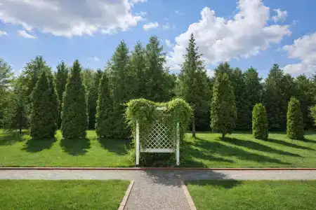 Фореста Фестиваль Парк - 2