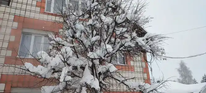 Гостевой дом на Спортивной - 3
