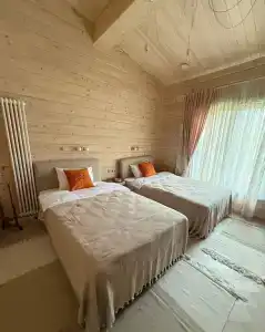 Ель и Пихта - 2