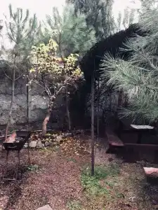 Владислава - 68