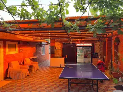 Tamarini - 50