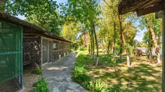 Дарданеллы - 13