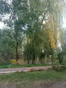 Дарданеллы - 34