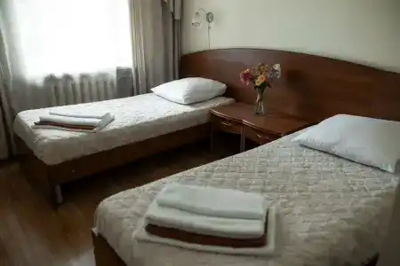Сосны - 8