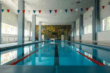 Сосны - 9