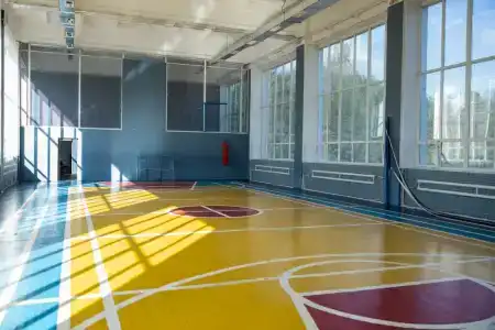 Сосны - 10