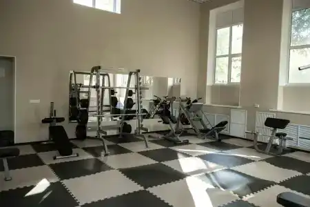 Сосны - 14