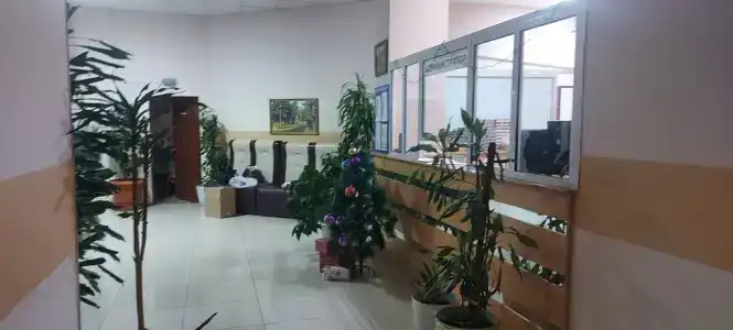 Автор - 17