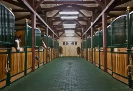 Загородный отель Грумант - 15