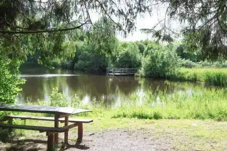 Максрумс - 10