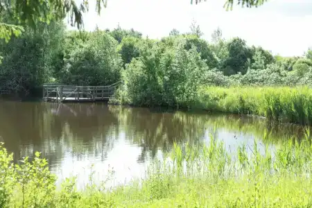 Максрумс - 11