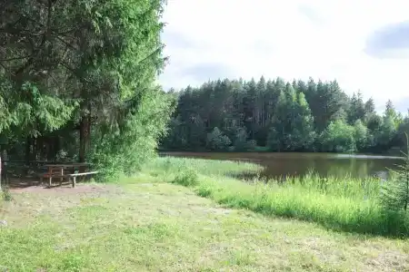 Максрумс - 12