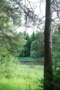 Максрумс - 14