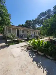 Orange Beach Camp - 20