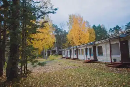 Авиаретро - 43