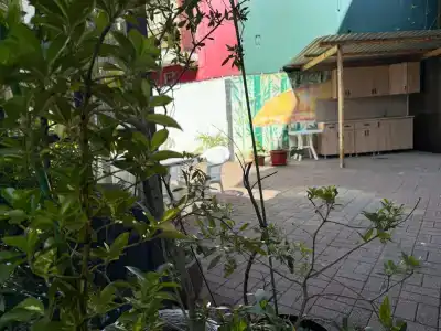 Лето - 35