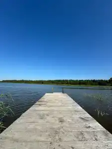 Гусли. Кедры - 3