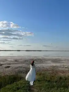 Гусли. Кедры - 6