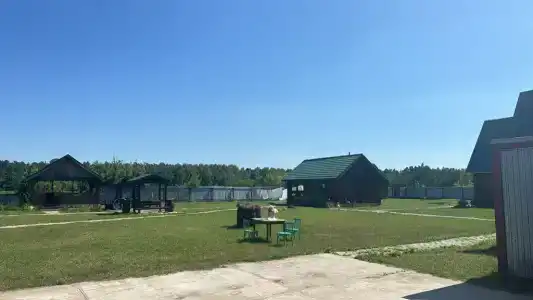 Гусли. Кедры - 15