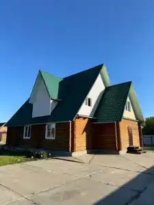 Гусли. Кедры - 26
