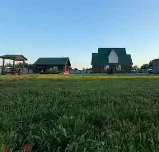 Гусли. Кедры - 30