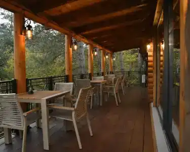 La Foresta - 8