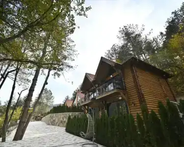 La Foresta - 11