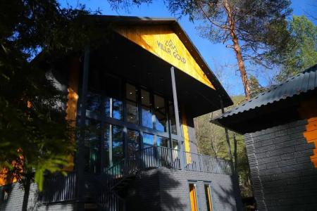 Villa Arkhyz-Gold - 11