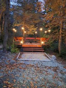 Villa Arkhyz-Gold - 8